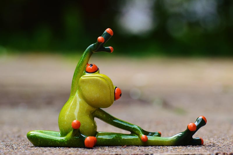 Dynamic Dance Workout